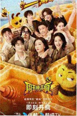 麦田记录封面